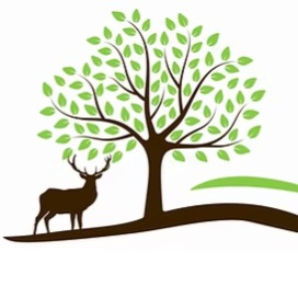 Hill Country Wound Care and Hyperbarics Logo