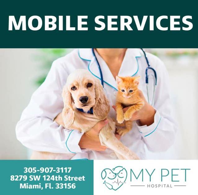 Mobile Veterinary Services in Miami