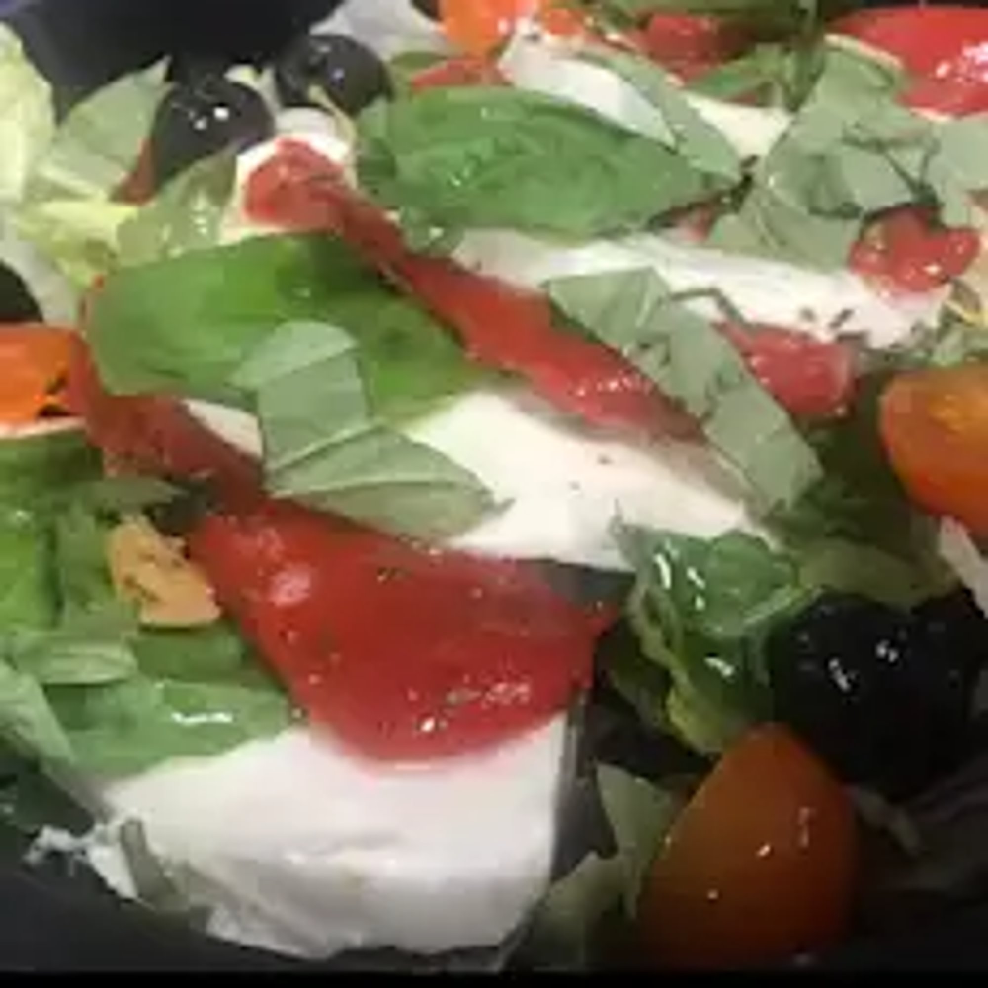 Fresh Mozzarella
