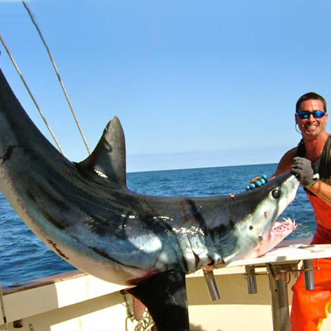 Images Captain Art's Fishing Charters