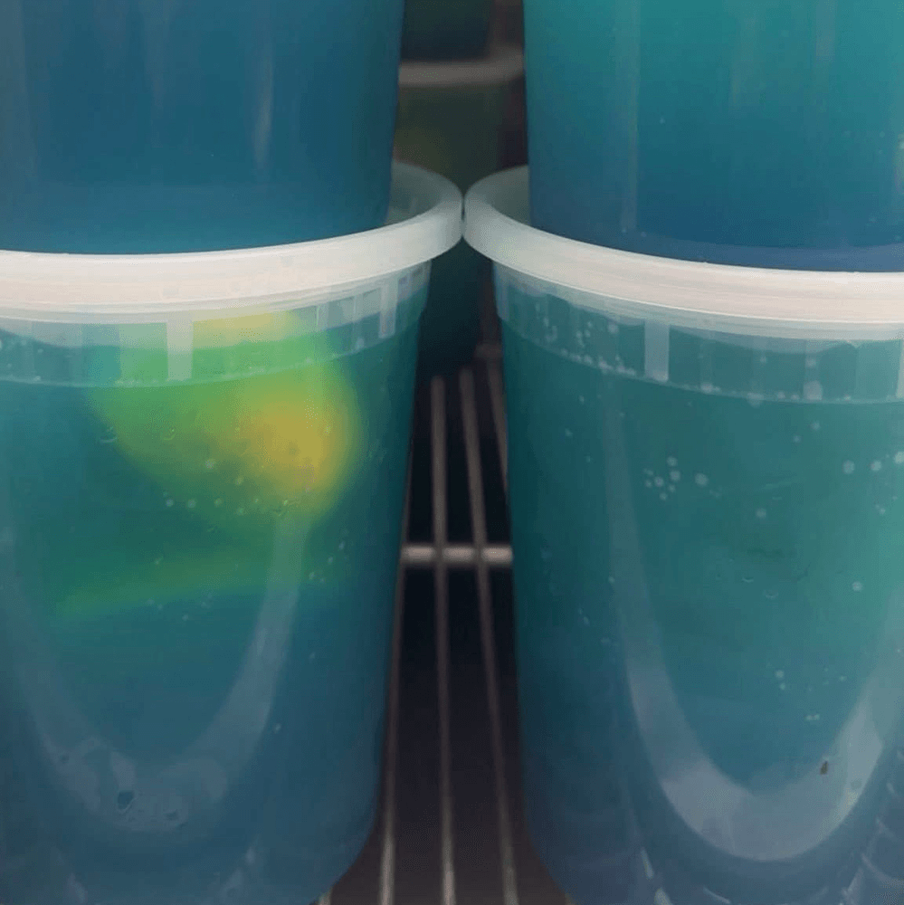 Blue Raspberry 32oz Lemonade