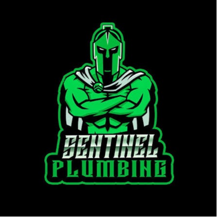 Sentinel Plumbing