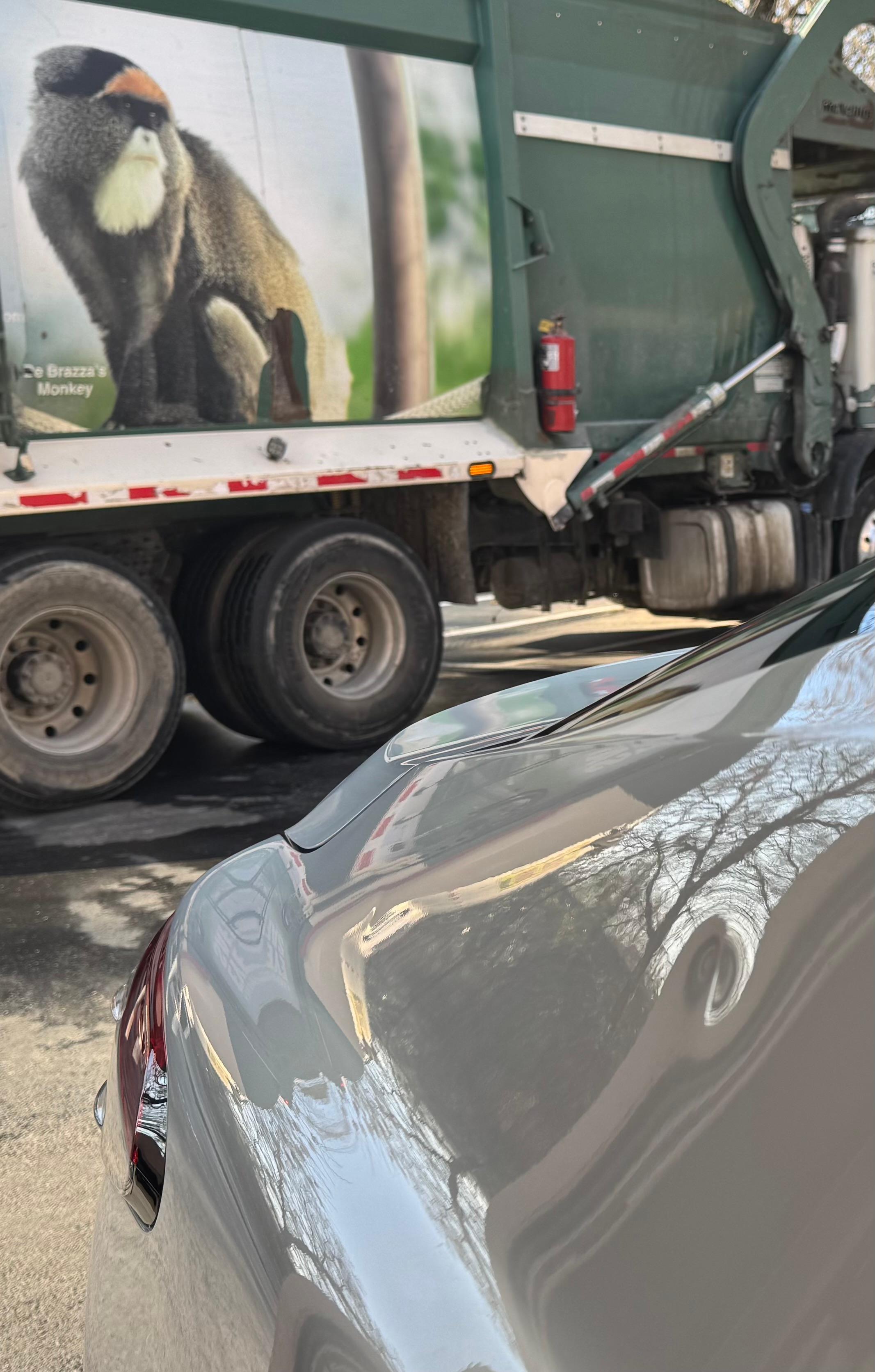 Knights Hail Repair Image