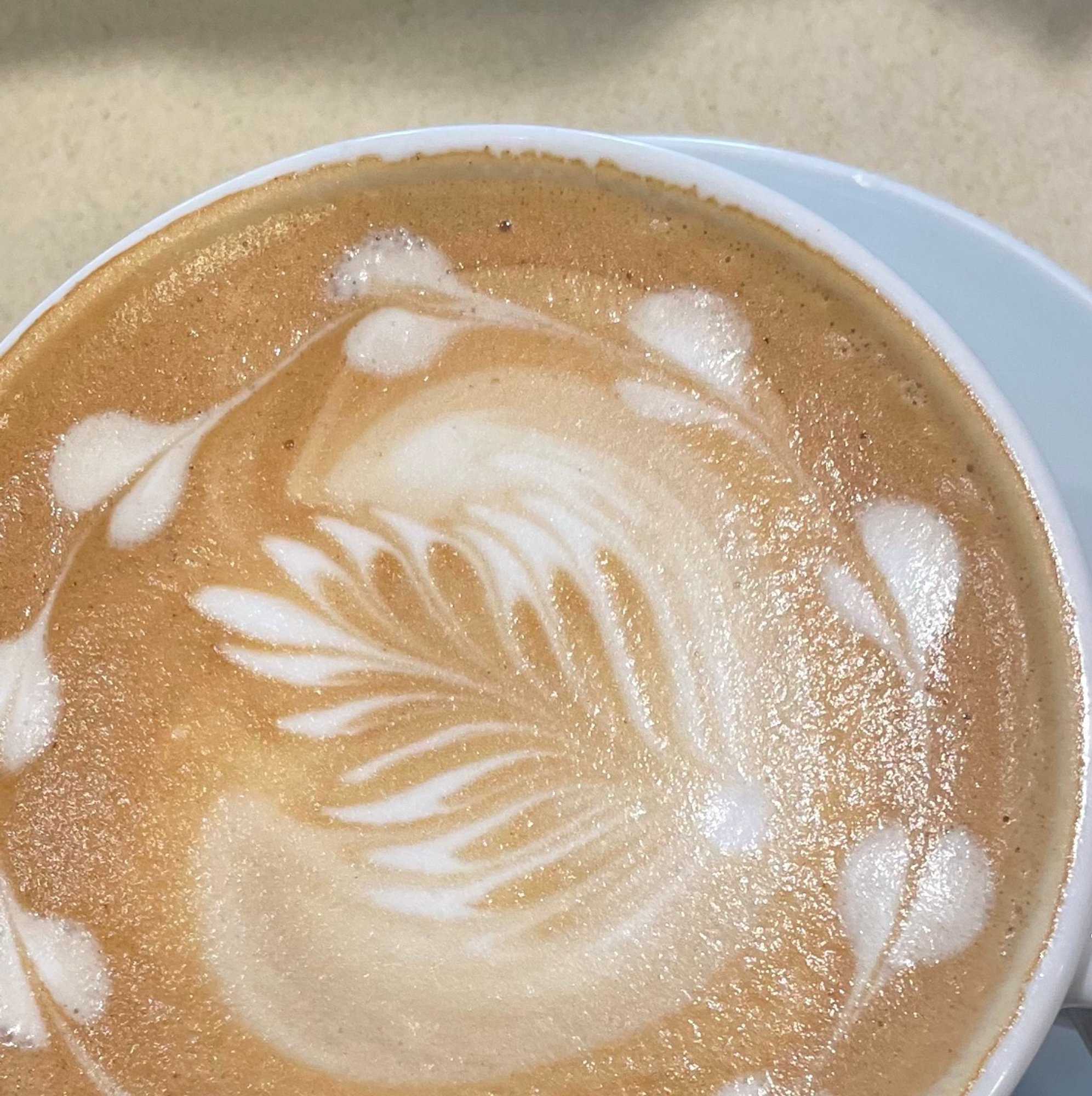 Cafe Mocha