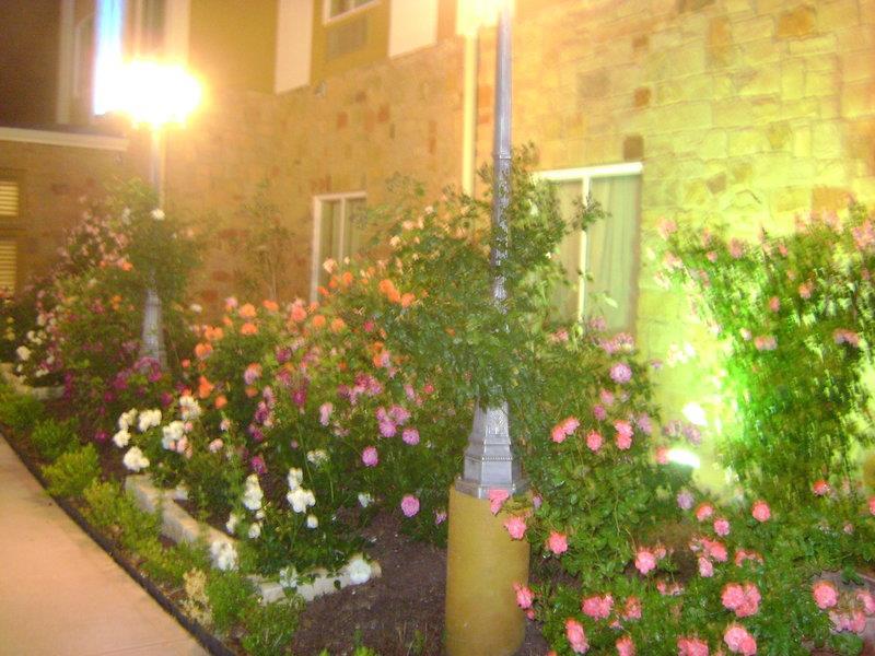 Images Best Western Plus Blanco Luxury Inn & Suites