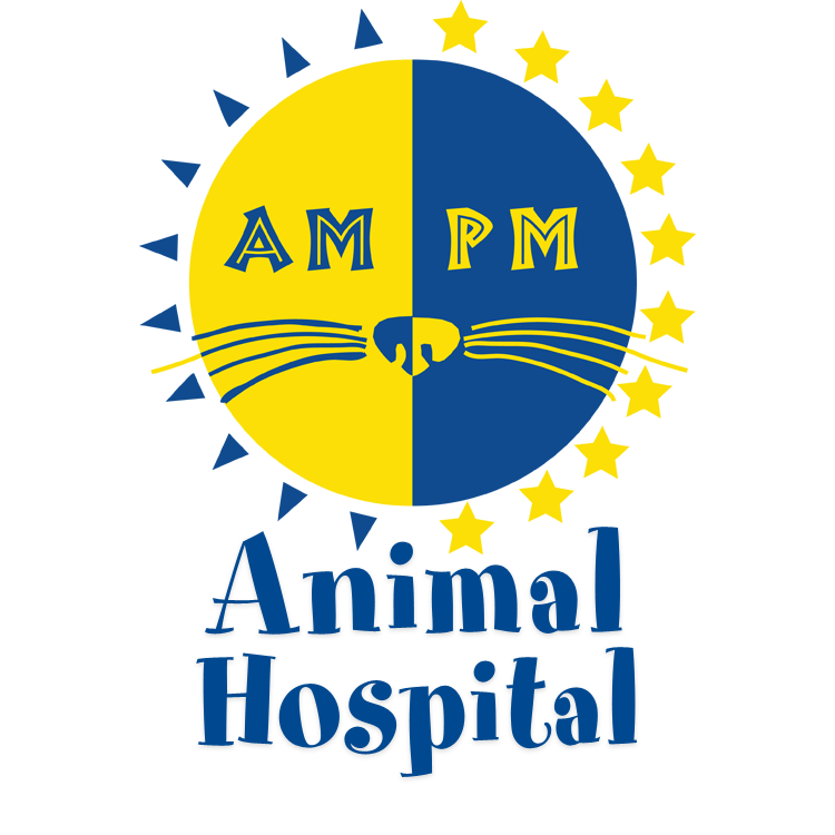 Pet Emergency Room | AM/PM Animal Hospital
