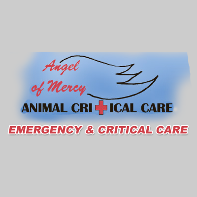 Angel Of Mercy Animal Critical Care Photo
