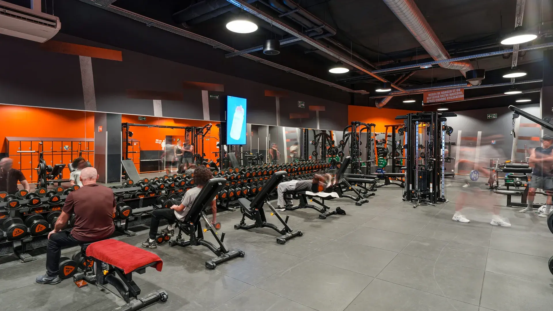 Miniature de la galerie