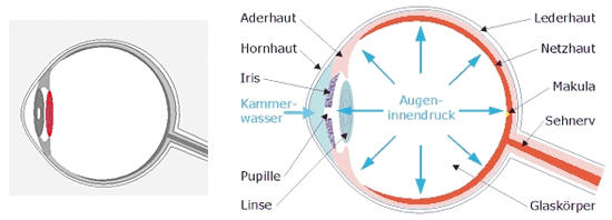 Glaukom Augenklinik Zürich