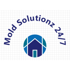 Mold Solutionz 24/7