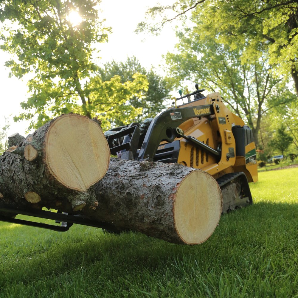 Mid-West Tree Service Inc Photo