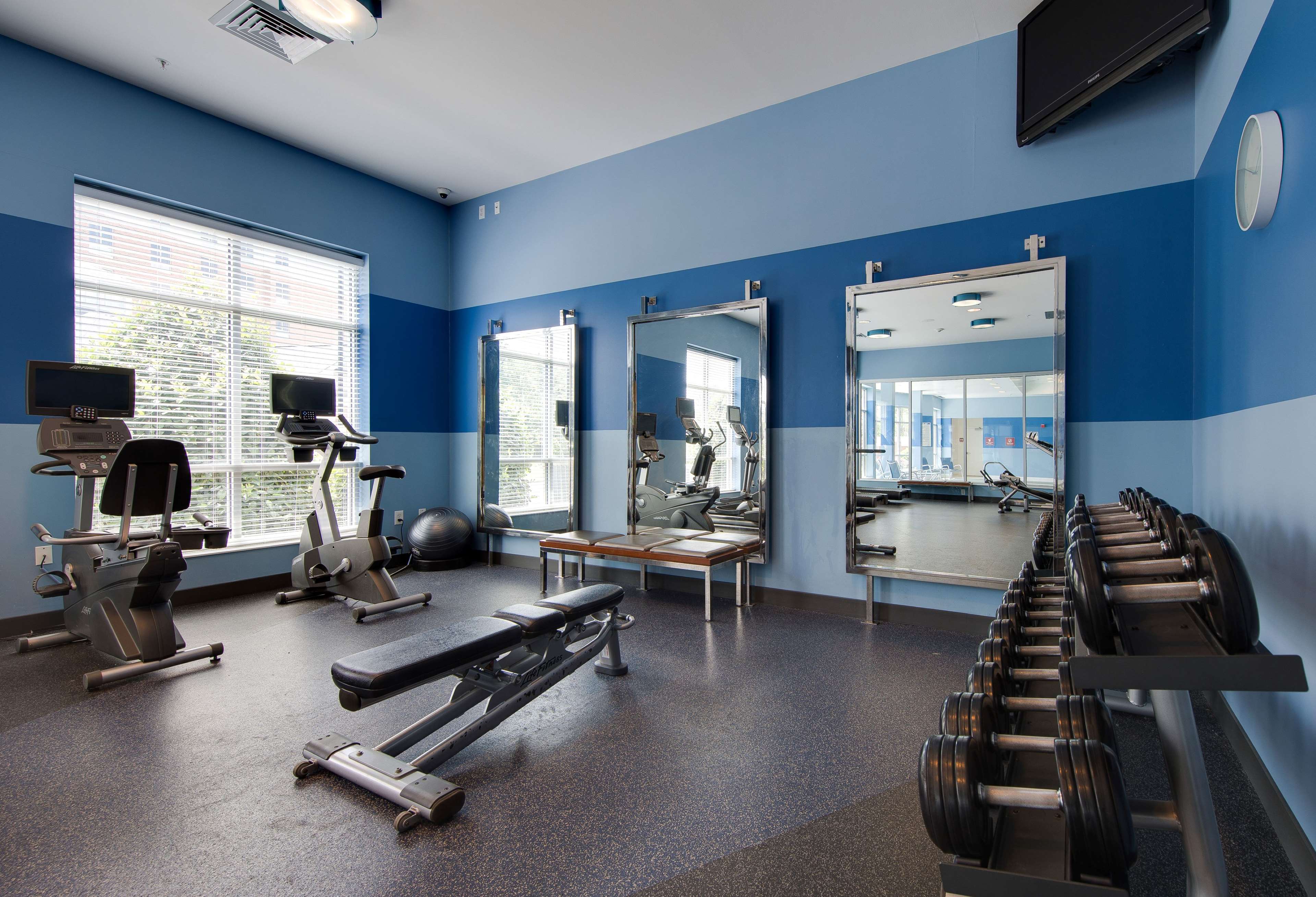 Health club  fitness center  gym