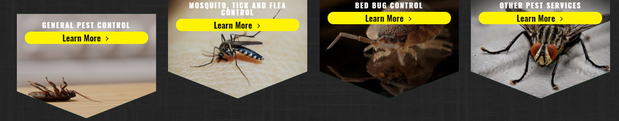 Images Portage Pest Control & MosquitoXit