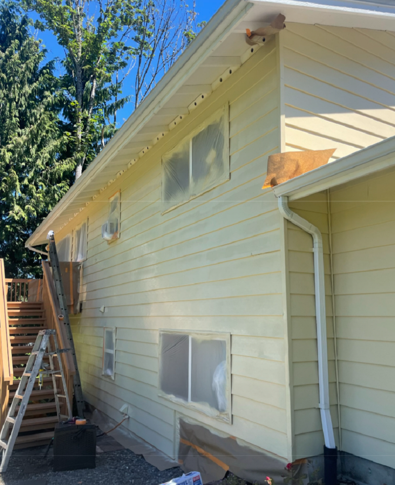 Cover Pro Painting Image