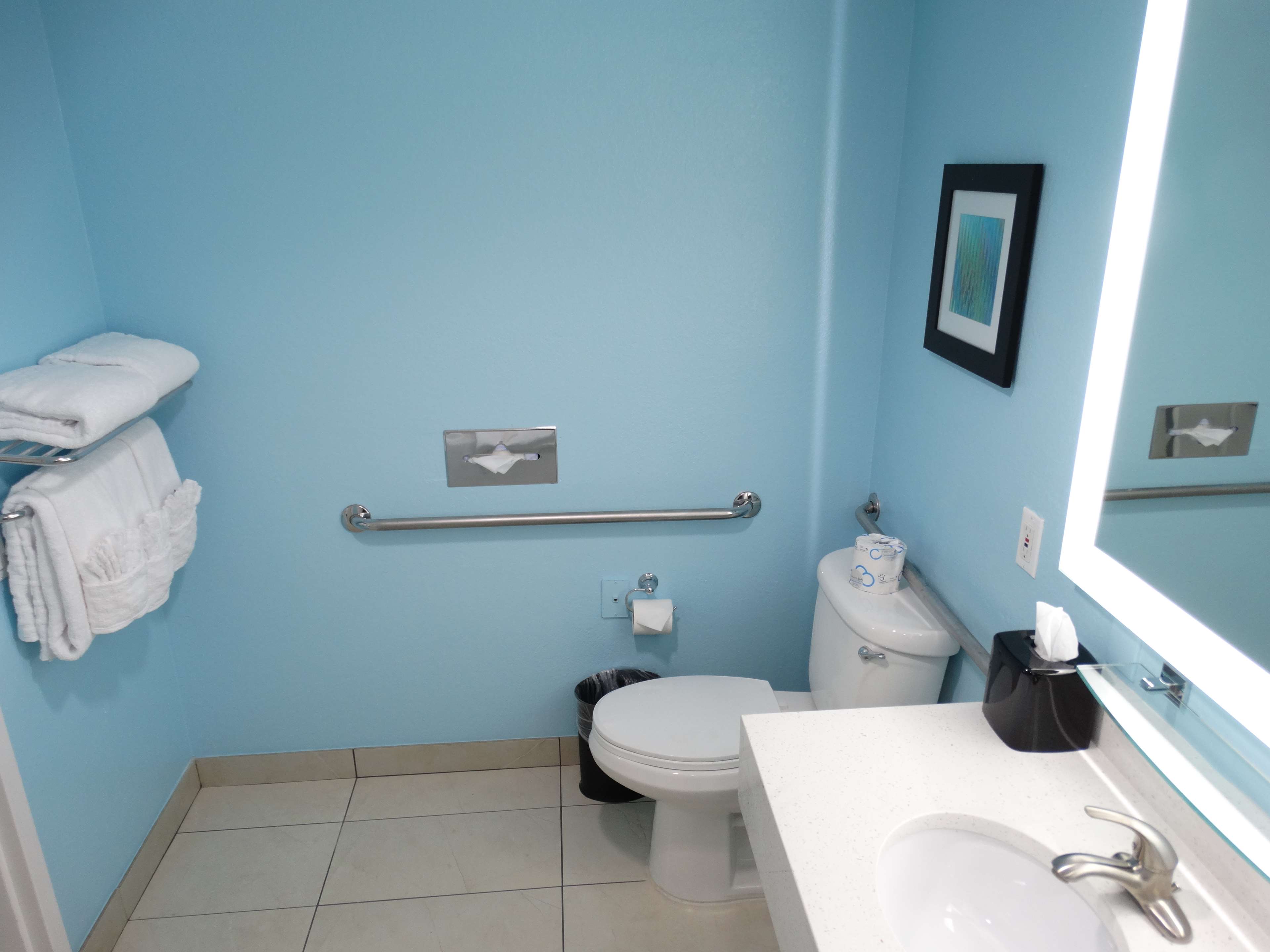 Physically Challenged Guest Bathroom