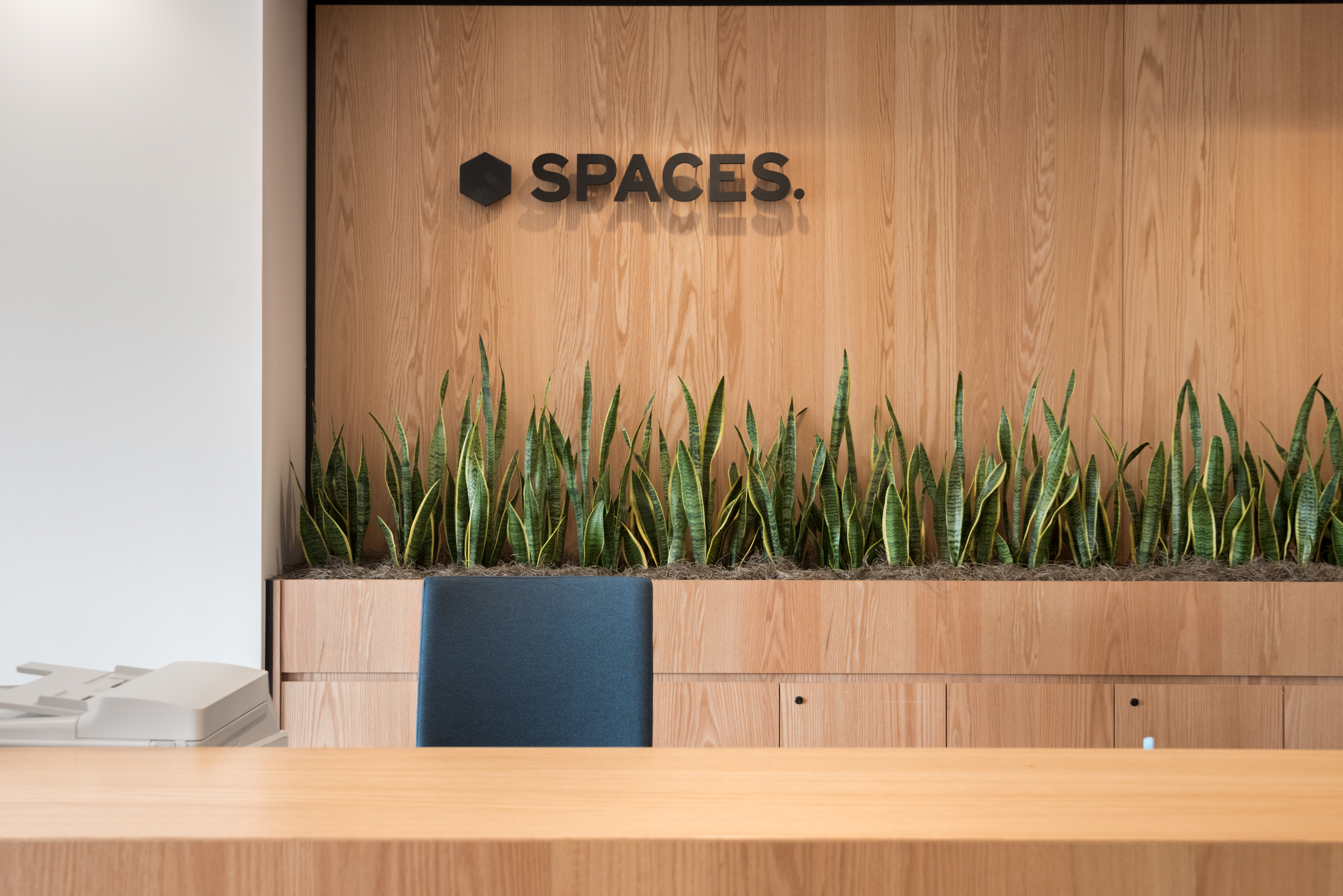 Spaces - California, Los Angeles - Spaces Hollywood Photo