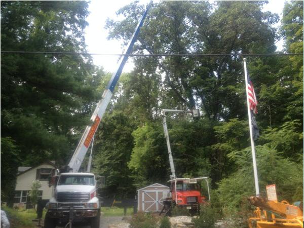 Images Aspen Heights Tree Service Inc
