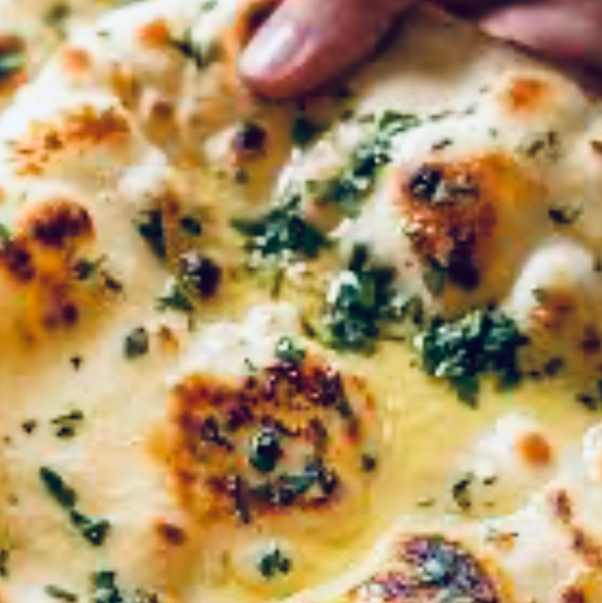 Special Naan
