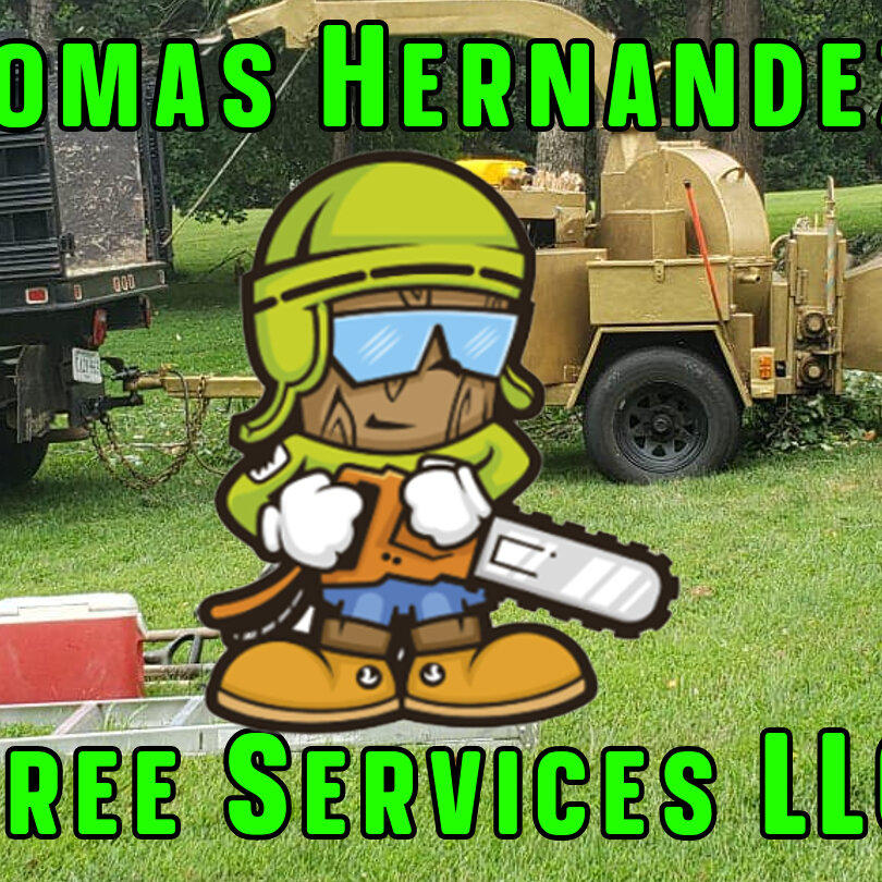 Tomas Hernandez Tree Services LLC