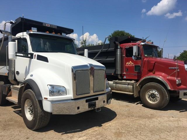 Big Woody's Tree Service Image