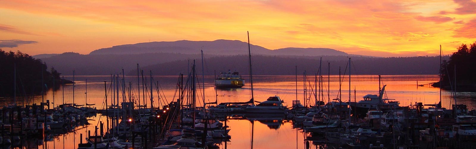 Friday Harbor Seaplanes Photo