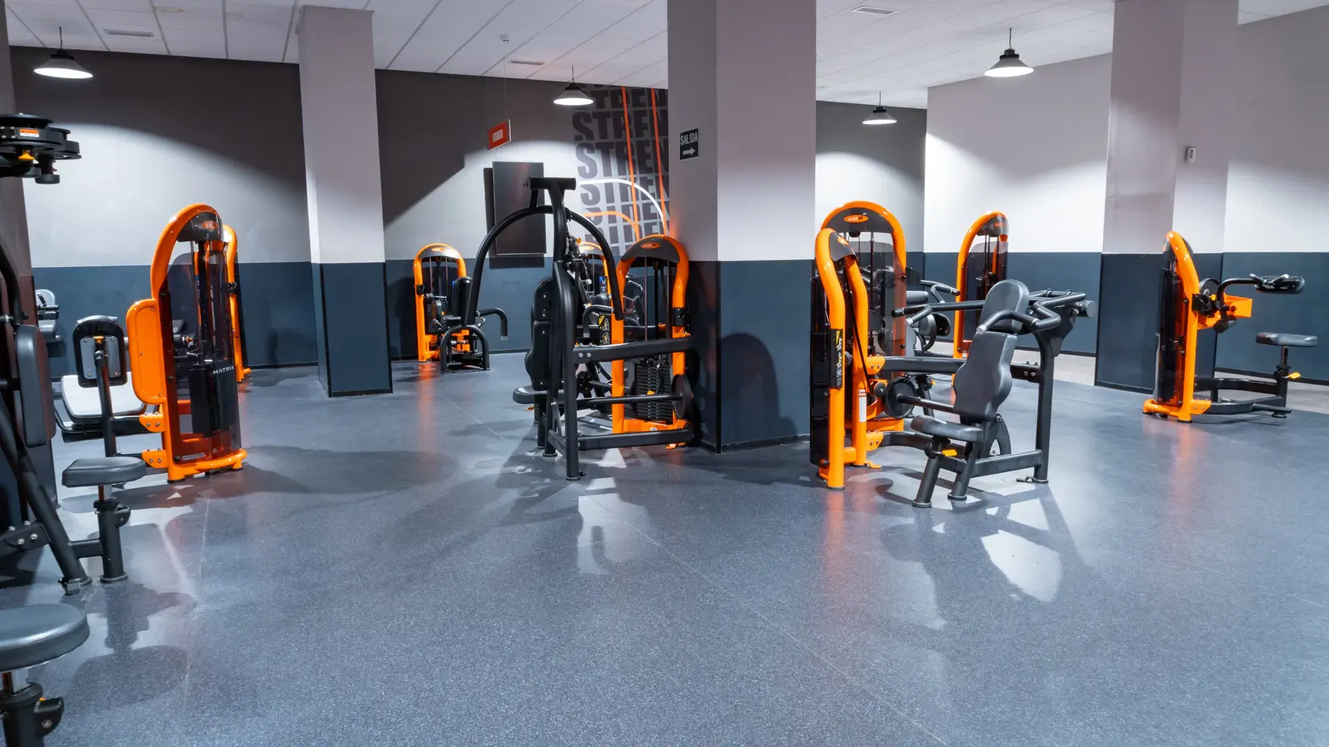 Galería en miniatura