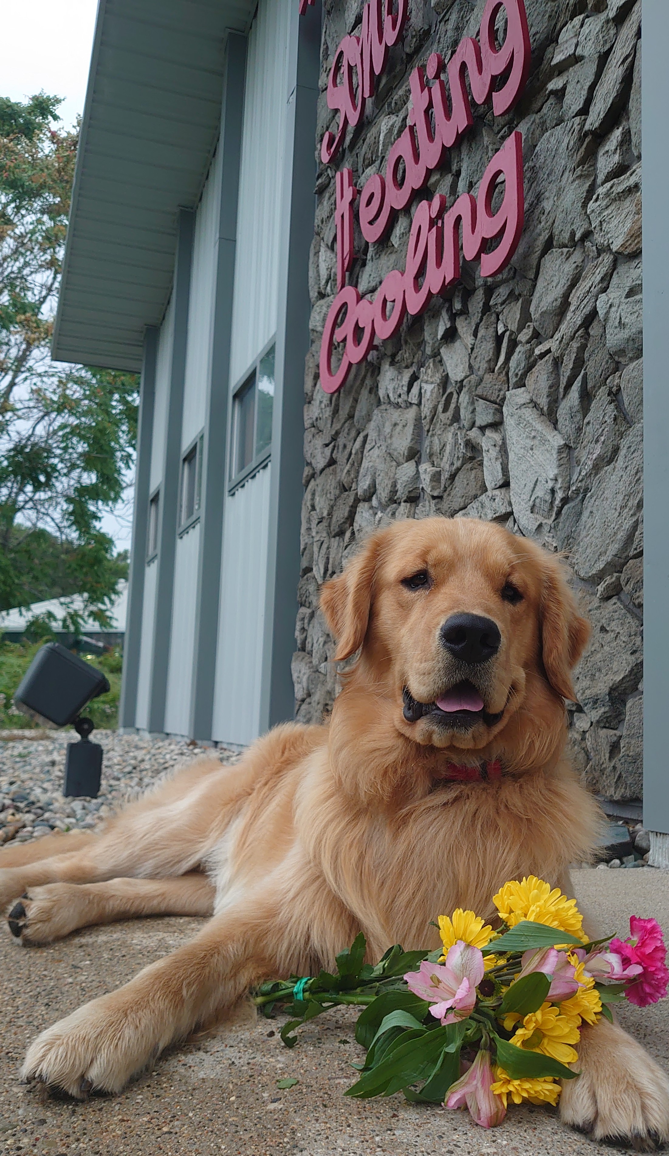 McKellips & Sons Inc Image