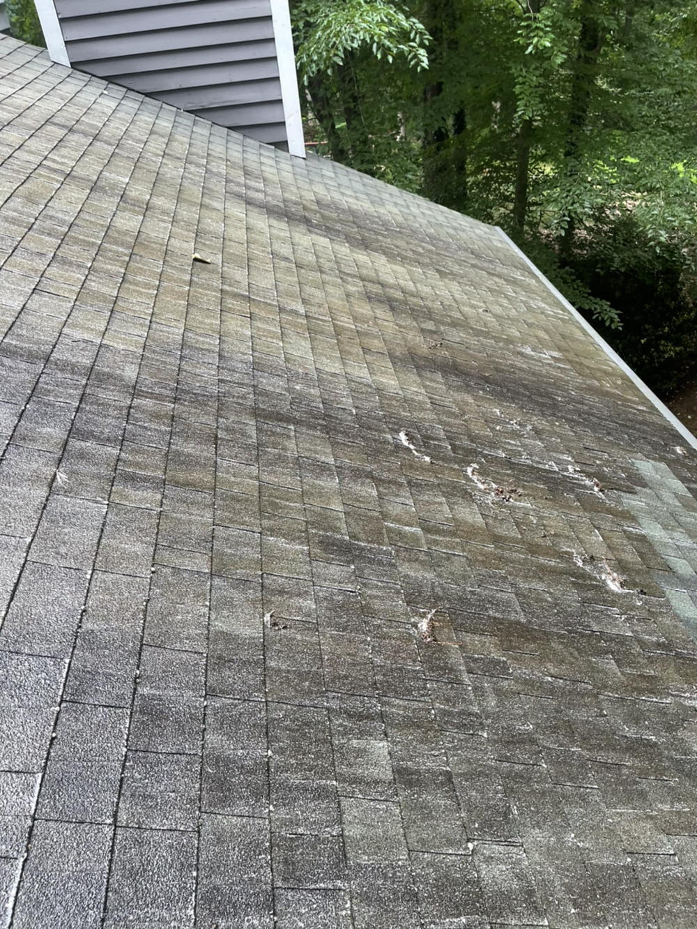 Window Hero Lake Norman Image