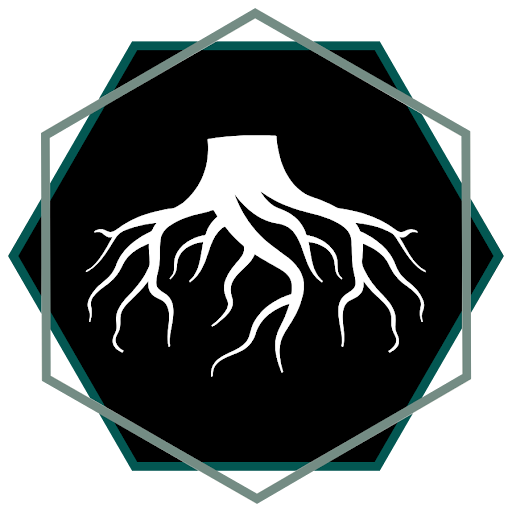 Deeply Rooted Chiropractic & Movement