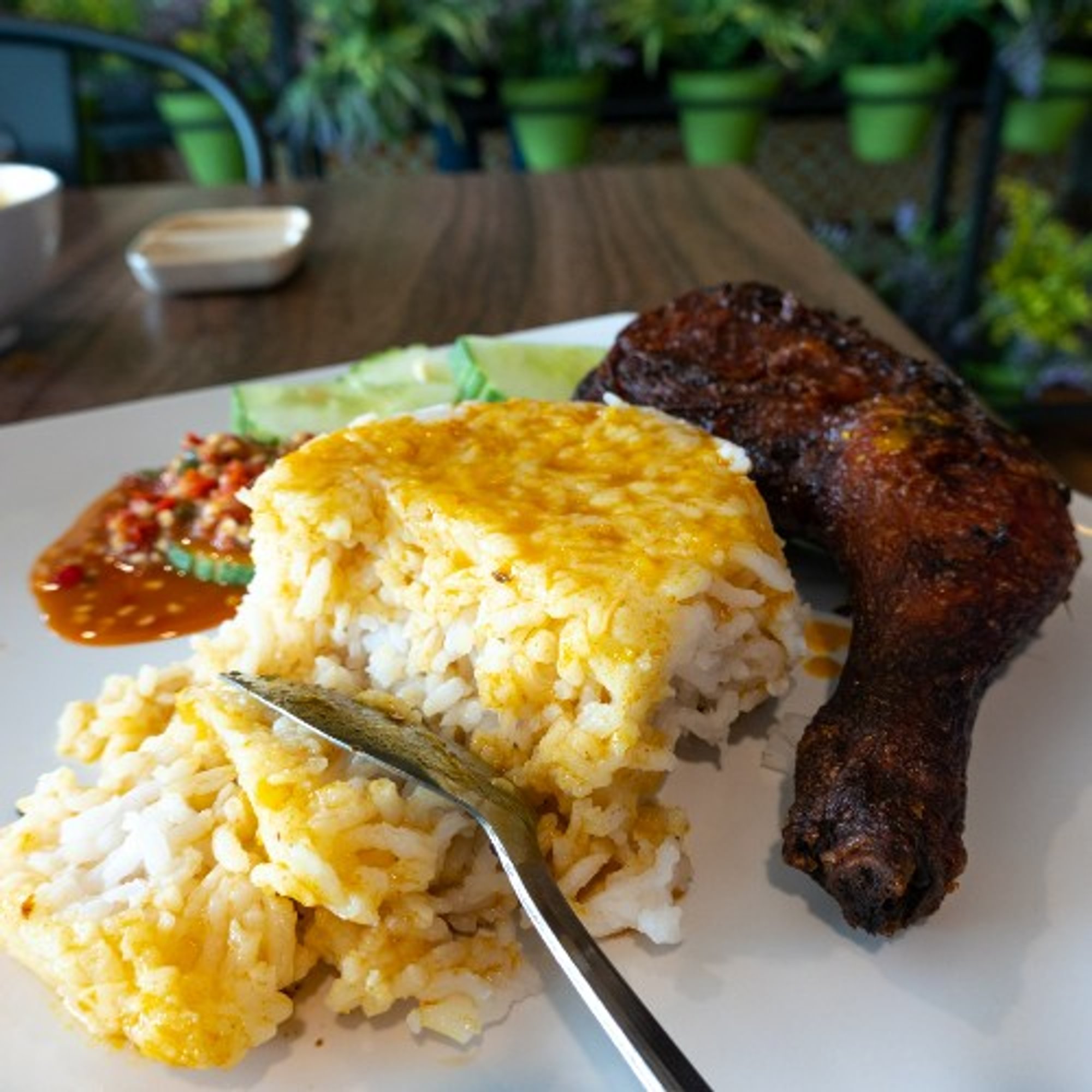 Grilled Chicken & Cheese with Rice