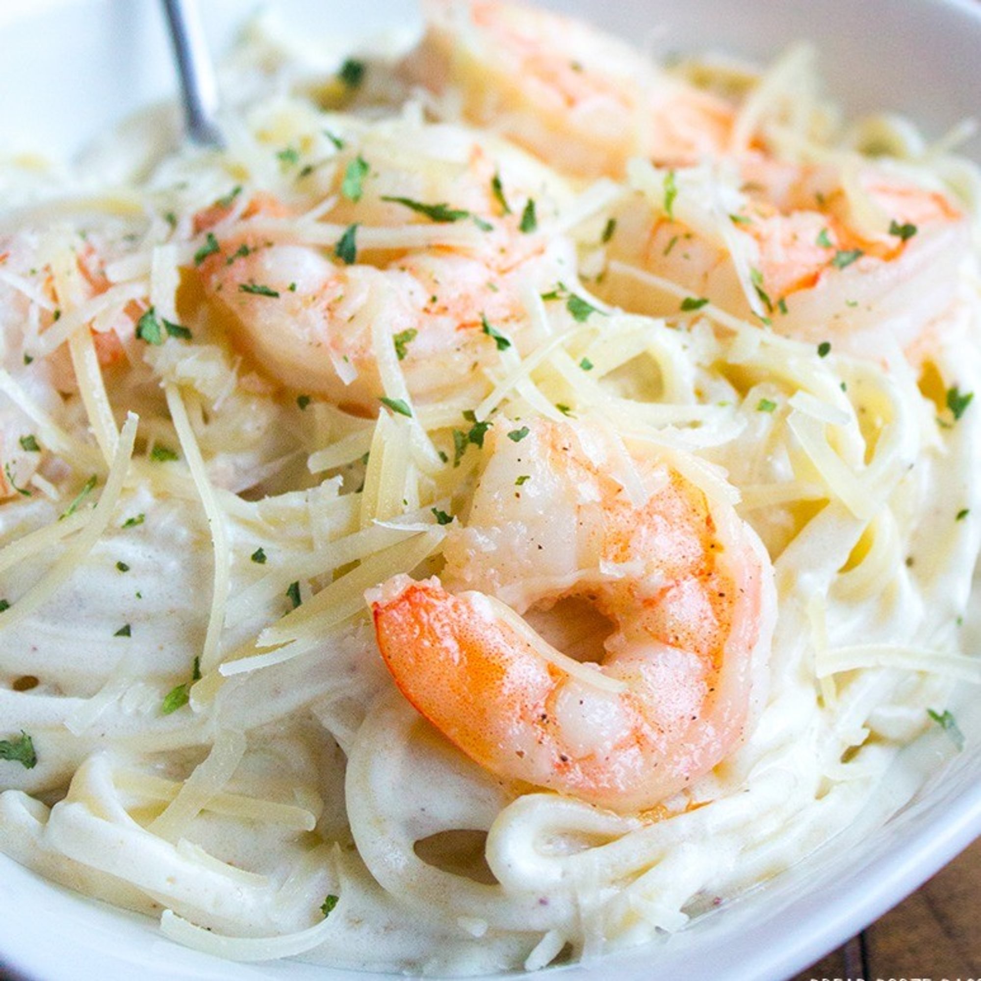 Fettuccine Alfredo with Shrimp Pasta