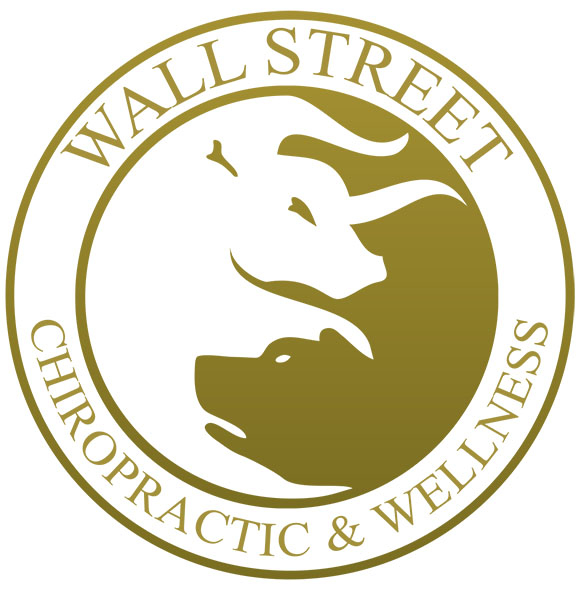 Wall Street Chiropractic and Wellness - Dr. Nicolai Photo