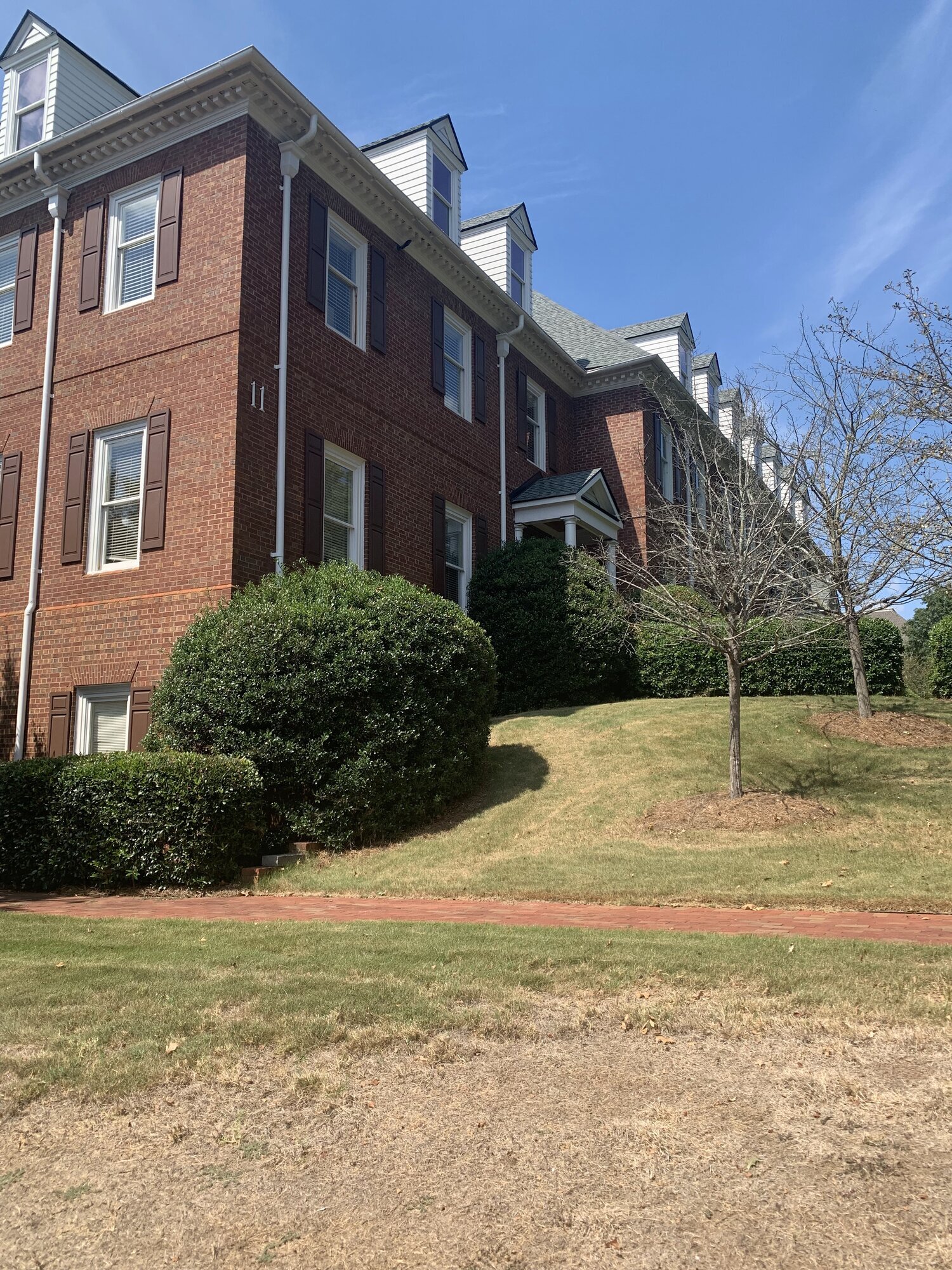 First Alternative Chiropractic Image