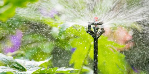 Sprinkler Head vs Drip Irrigation: 3 Key Differences Explained