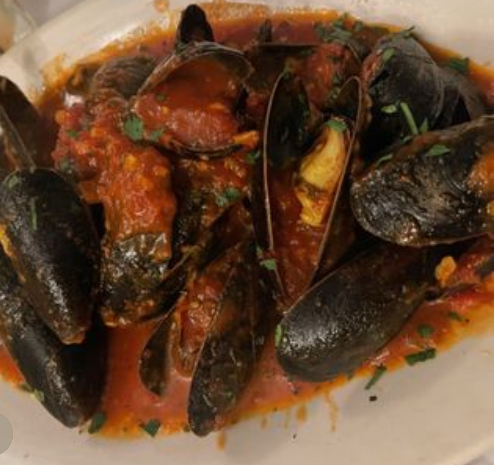 Mussels marinara