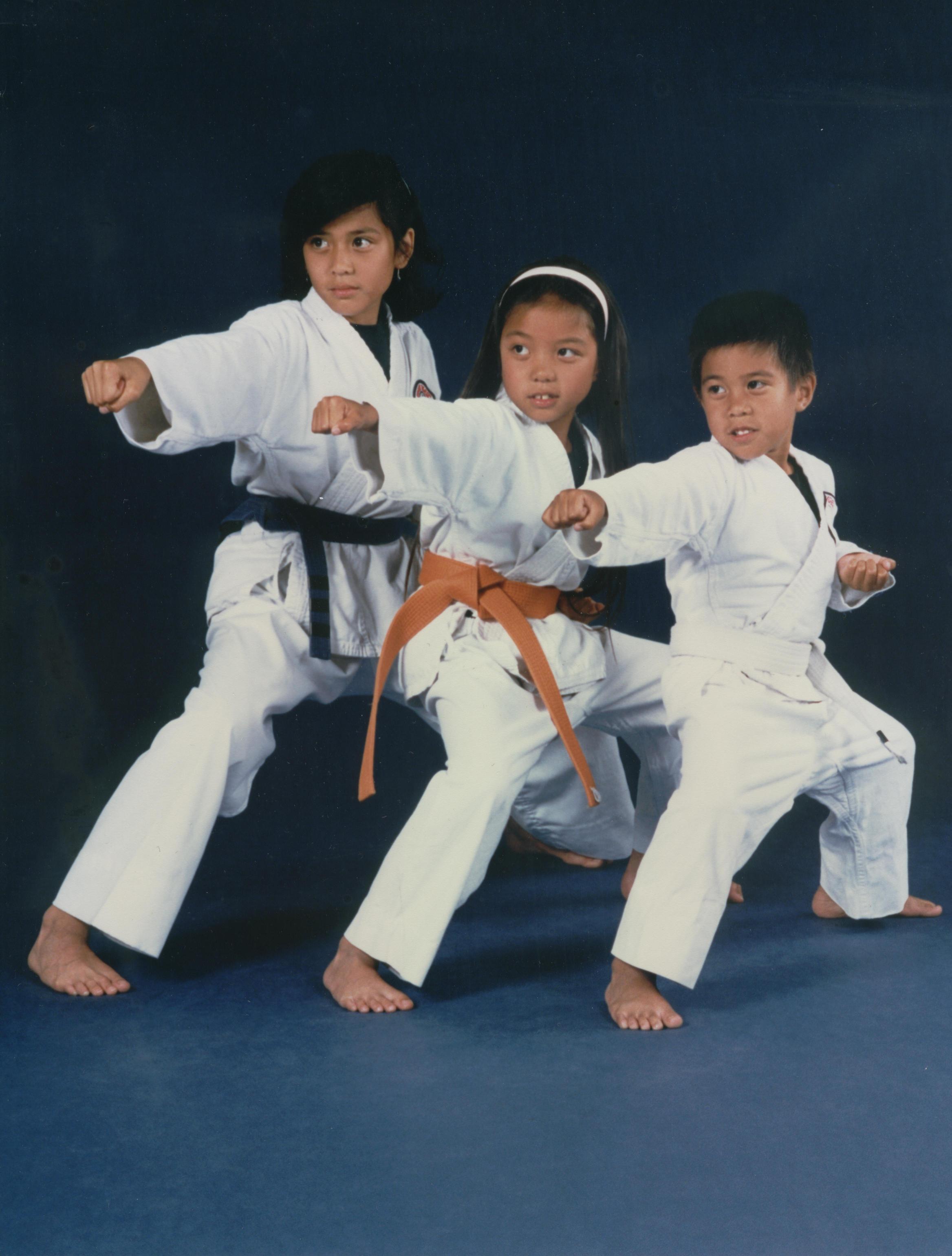 ITO'S WHITE TIGER KEMPO KARATE TAI CHI CHUAN Photo