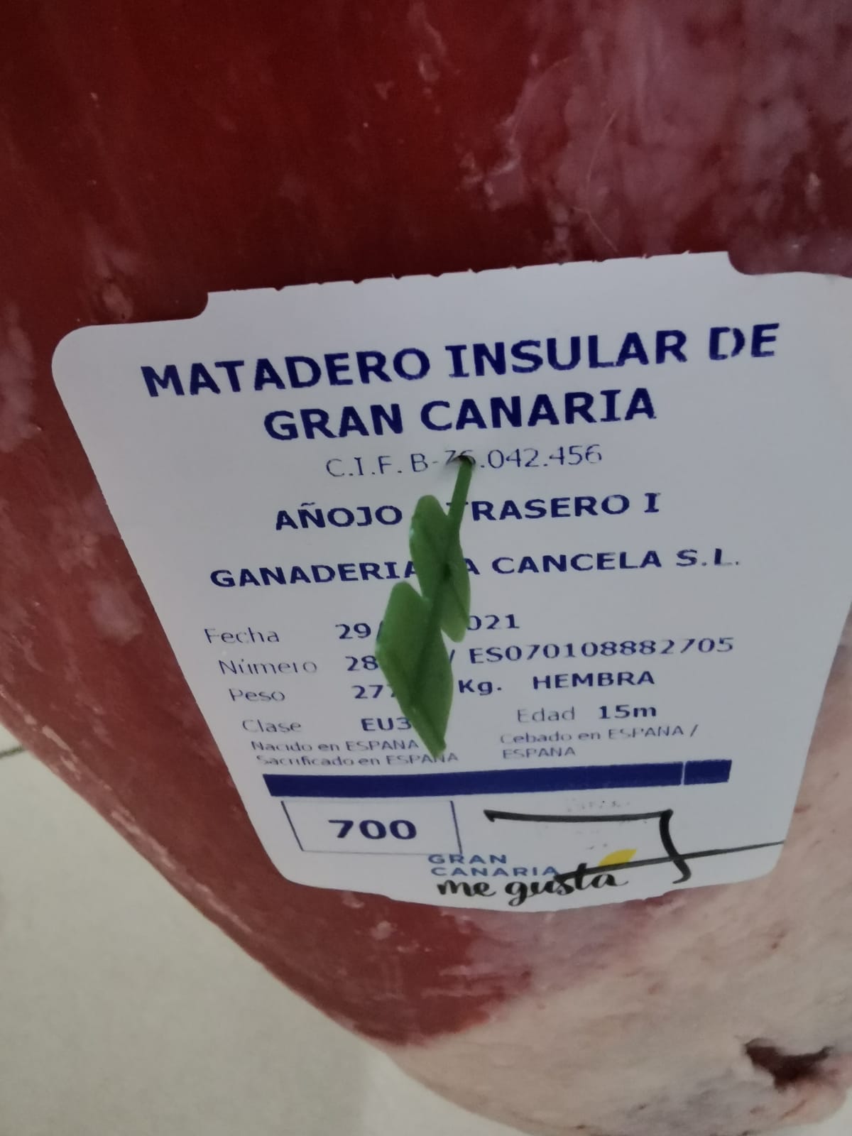 Galería en miniatura