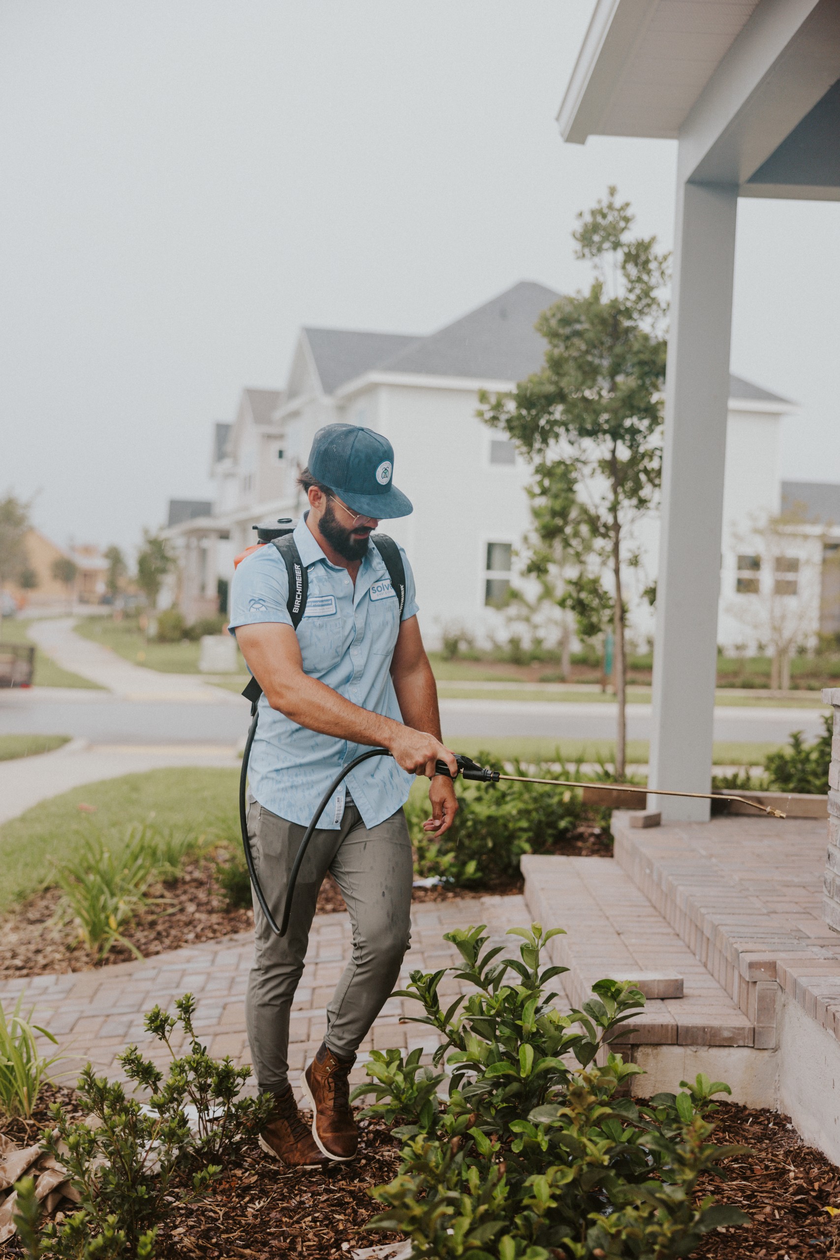 Solve Pest Pros Image