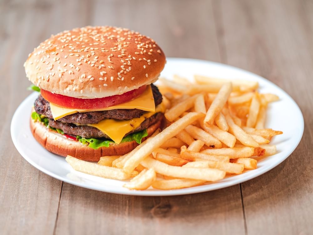 Double Cheese Burger Combo