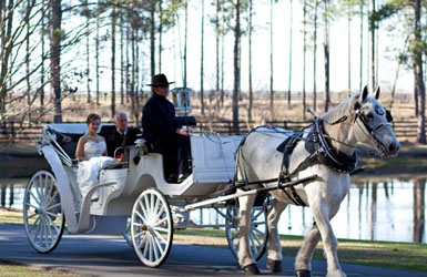 Horse drawn carriages provides 6 Passenger Vis-a-Vis Carriages driven by Coachman dressed for your occasion to add elegance to your special day. ***Please Call Now 850-269-1200 or | reserve for pricing and availability.