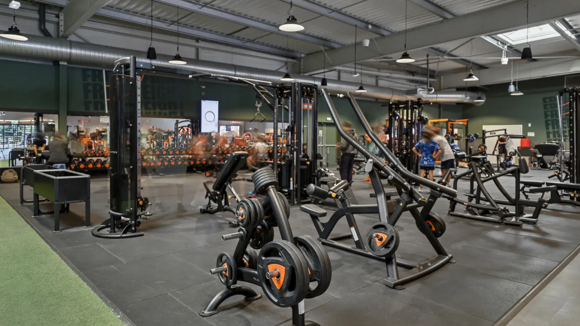 Miniature de la galerie