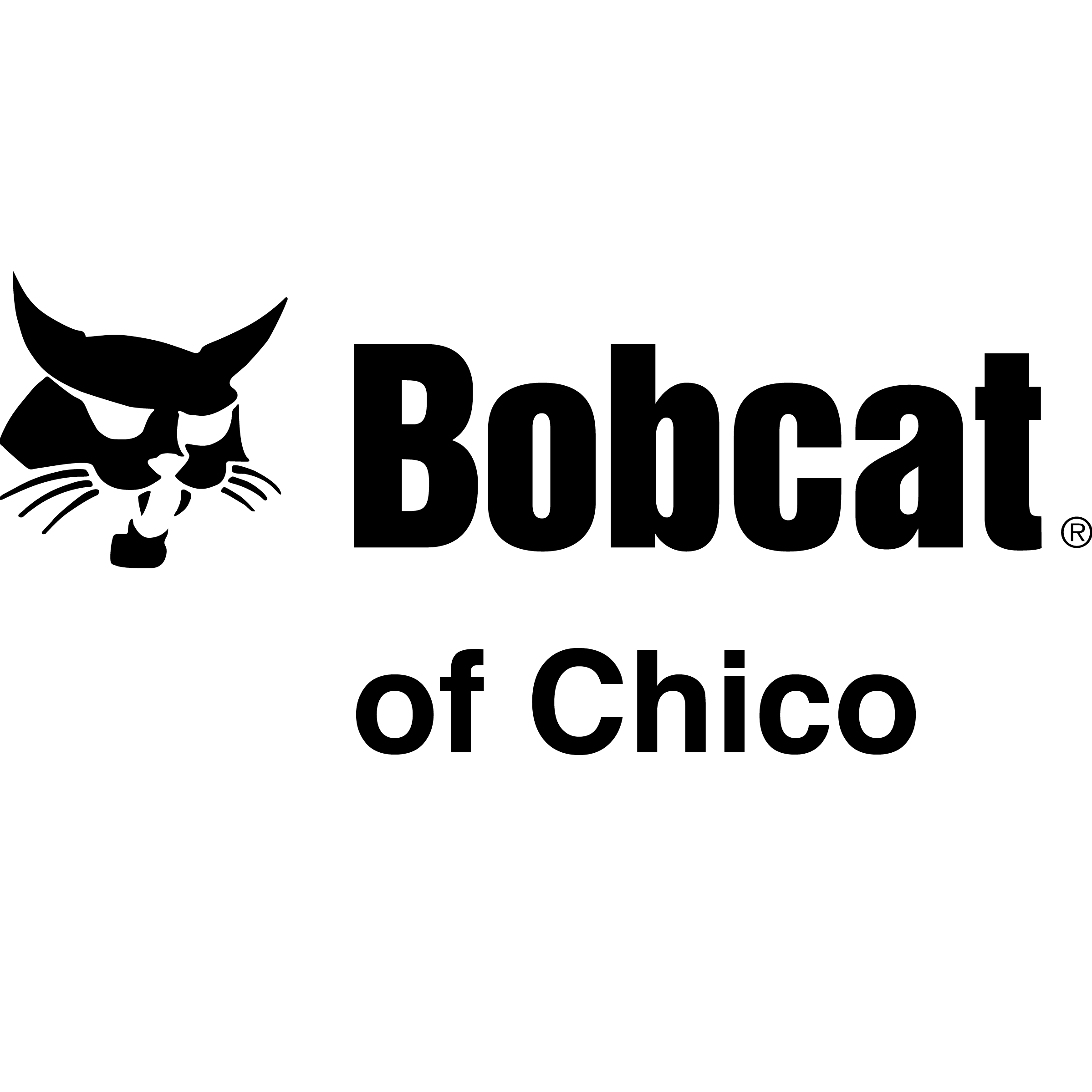 Bobcat of Chico Photo