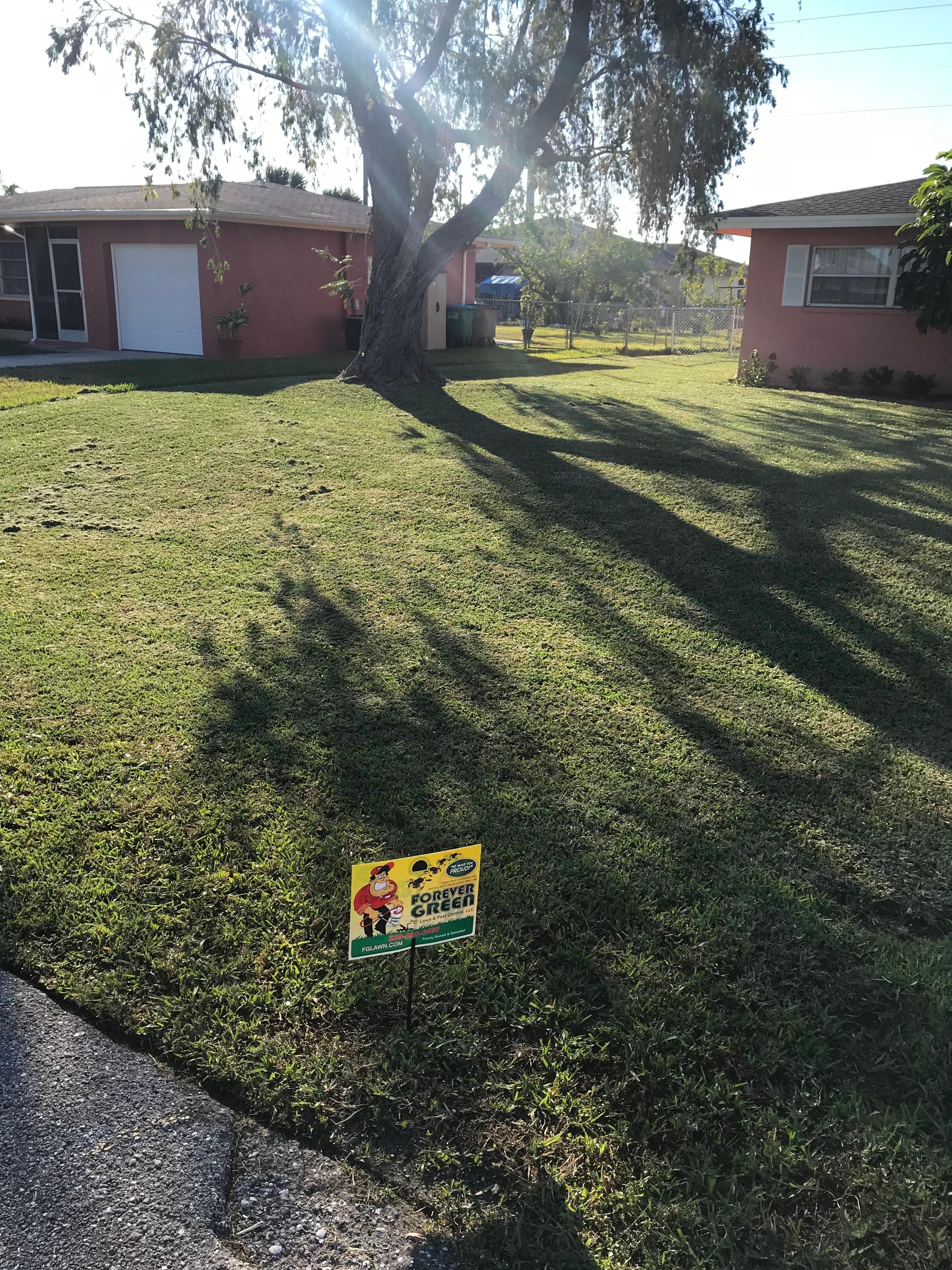 Forever Green Lawn and Pest Control Image