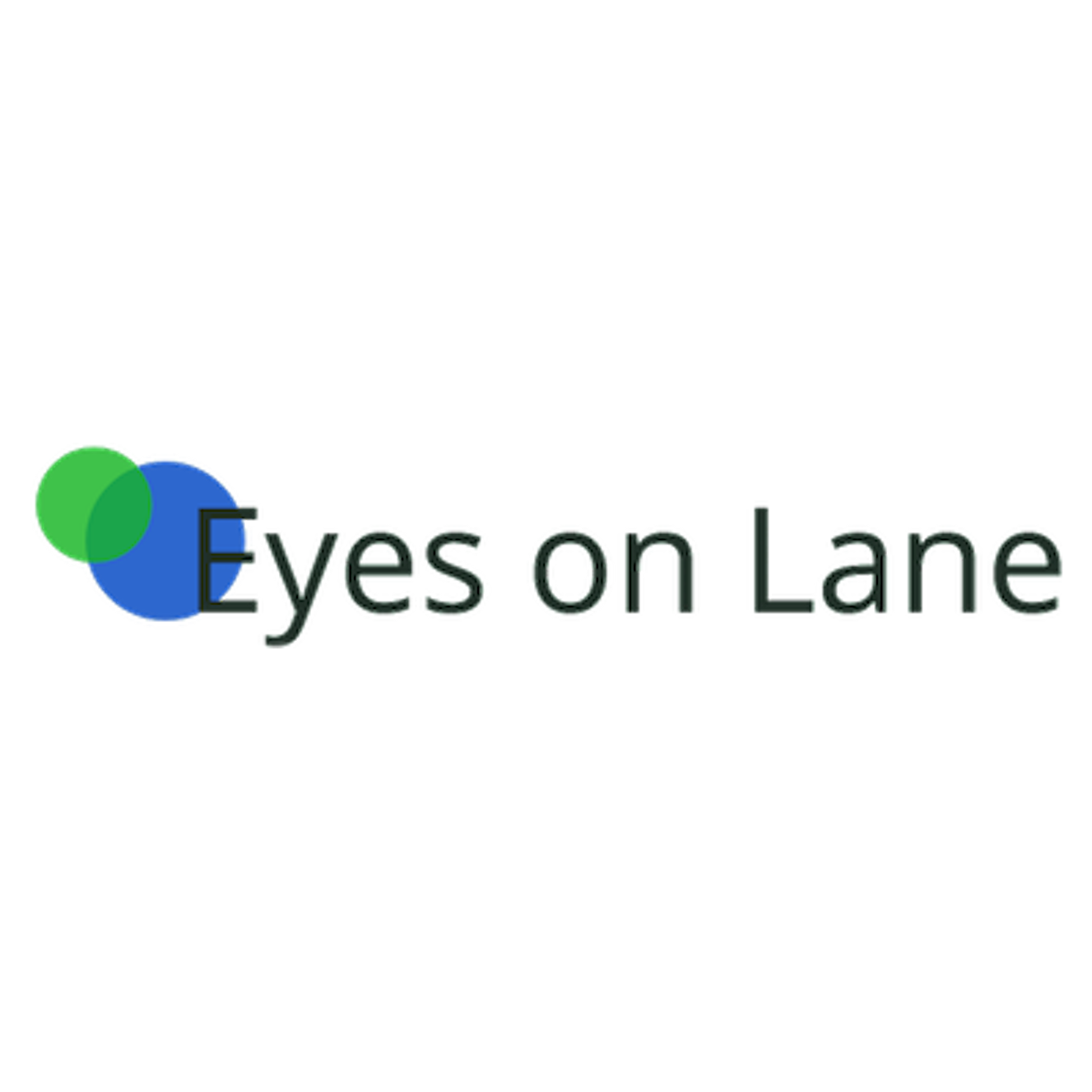Eyes On Lane Photo
