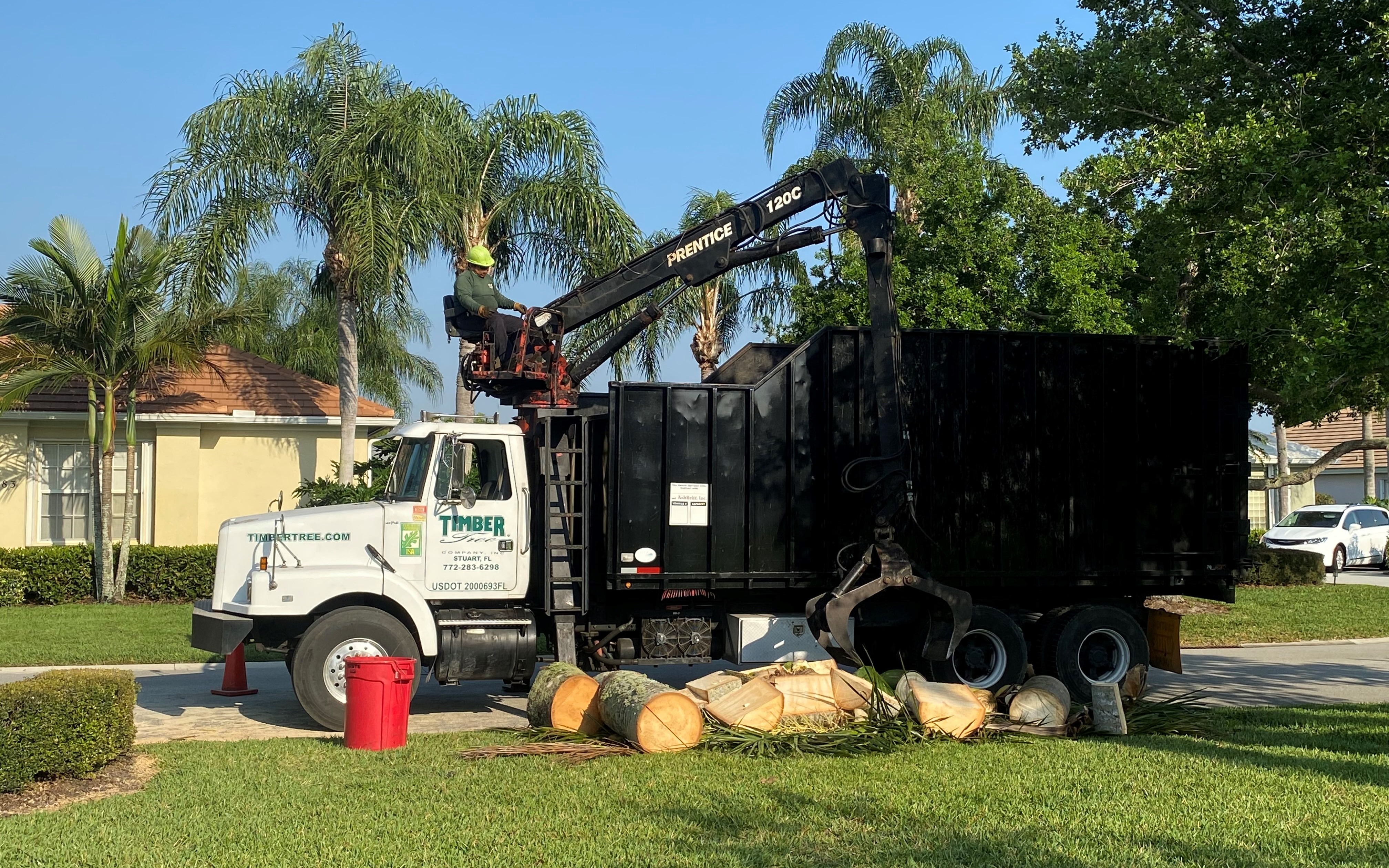 Timber Tree Co Image