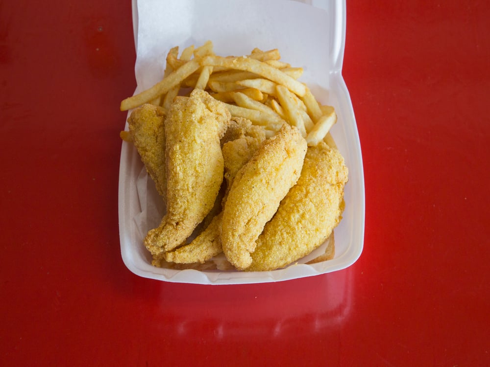Ocean Perch