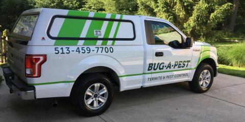 Bug-A-Pest Photo