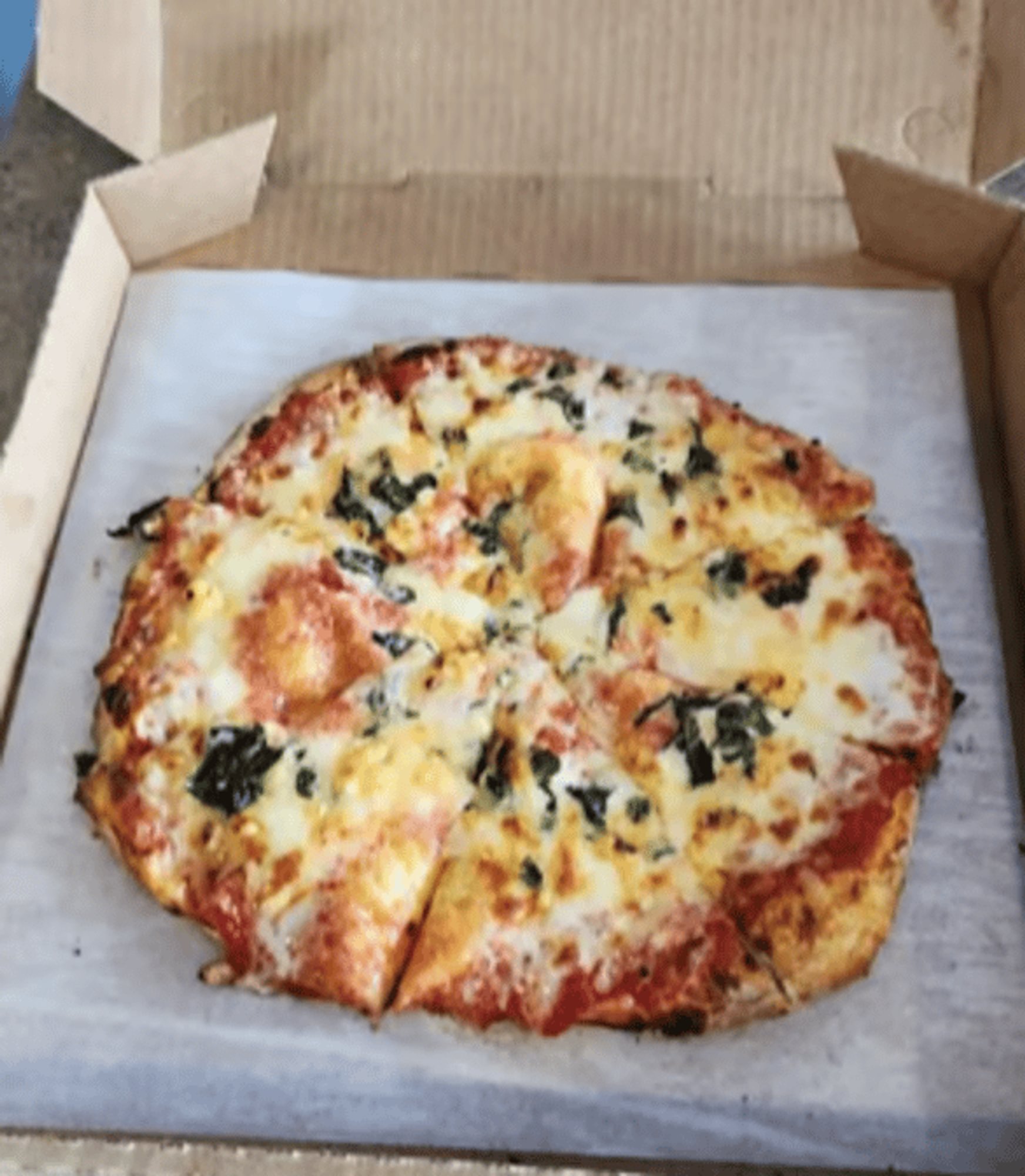 O Large Garlic Pizza