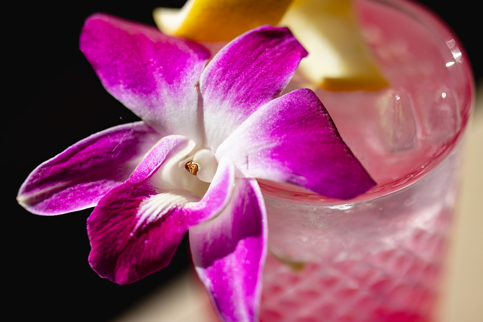 Stagecoach – Smokehouse & BBQ Image