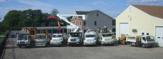 Richard May Tree Service Photo